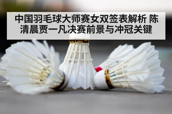 badminton shuttlecock court