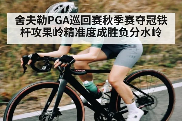 舍夫勒PGA巡回赛秋季赛夺冠铁杆攻果岭精准度成胜负分水岭