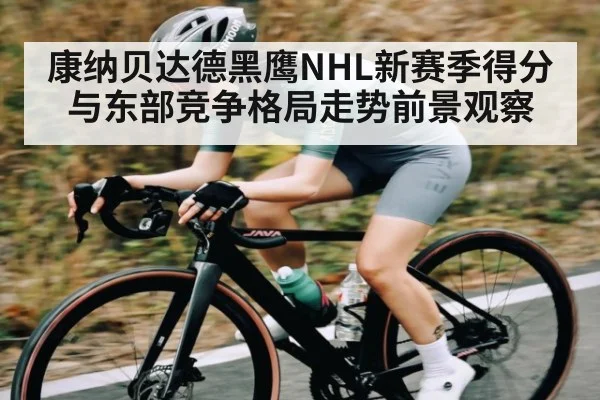 康纳贝达德黑鹰NHL新赛季得分与东部竞争格局走势前景观察