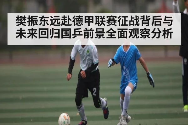 樊振东远赴德甲联赛征战背后与未来回归国乒前景全面观察分析
